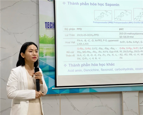Công nghệ sản xuất cao tam thất hỗ trợ điều trị ung thư